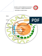 Informe de Jora PDF