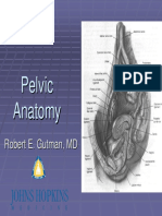 PelvicAnatomyForResident PDF