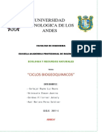 Ciclos Biogeoquimicos