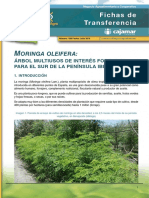 Moringa