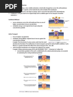 Carrier-Mediated Transport Mechanisms