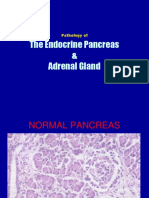 Patologi Pankreas Endokrin & Adrenal