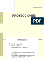 Presentacion Protecciones (Nuevo) PDF