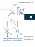 Pages From Watson Molecular Biology of The Gene 7th Edition c2014 Txtbk-2