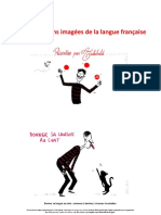 Les Expressions Imagées de La Langue Francaise