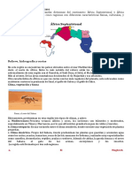 Regiones Del Continente Africano