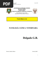 Texto Básico de Patologia Clinica Veterinaria PDF