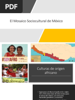 Mosaico Sociocultural