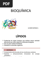 Bioquímica Lípidos