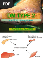 Diabetes Mellitus Type 2