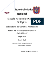 Induccion de Mutantes en Escherichia Coli