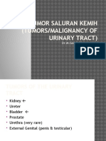 Tumor Saluran Kemih (Tumors/Malignancy of Urinary Tract) : Dr.M.Galuh Richata, Spu