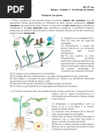 FT Transporte Nas Plantas