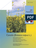 61 - Canola (Brassica Napus L.)