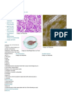 MCQs Gynaec 2 - ObGyn