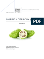 Monografía Morinda Citrifolia