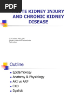 Acute Kidney Injury - Chronic Kidney Desease