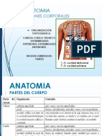 Clase 1 Anatomia Regiones Corporales y Cavidades