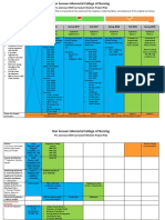 BSN Curriculum Revision Project Plan 2