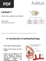 Lecture 1 Cell Injury Adpation and Death