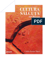 Cultura Salcuta in Oltenia