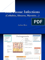 Abscess Cellulitis