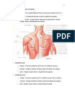 Apostila de ORIGEM E INSERÇÃO Músculos