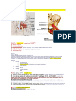 Lower Limb: NL04The Sciatic Nerve Supplies All EXCEPT