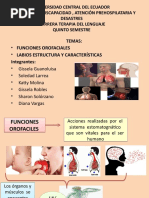 Funciones Orofaciales y Labios Caract y Func