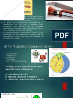 Perfil Lipidico