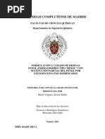 Resinas Fenolicas PDF