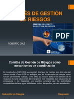 Comité de Gestión de Riesgos