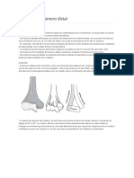 Fracturas de Húmero Distal