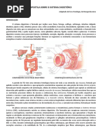 Apostila Sobre o Sistema Digestório