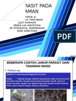 Jamur Parasit Pada Tanaman Fix