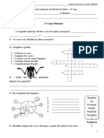 Caderno de Ditado