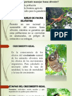 Fauna Silvestre Exponer