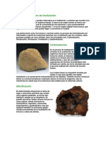 Procesos Químicos de Fosilización