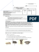 Prueba Ciencias Unidad2 Alimentacion