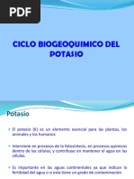 Ciclo Del Potasio