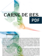 Carne de Res