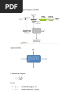 Balance de Masa y Energía en La Laguna Anaeróbica