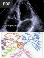 Cardiology PDF