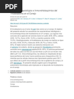 Estudio Histopatologico e IHQ de Tricoblastoma en Conejo - Traduccion Al Español