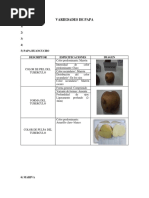 8 de 16 Variedades de Papa