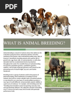 What Is Animal Breeding