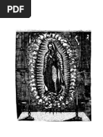 Imagen de La Virgen Maria Madre de Dios de Gvadalupe Milagrosamente Aparecida en La Ciudad de Mexico