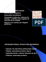 Gram Negativos Fermentadores