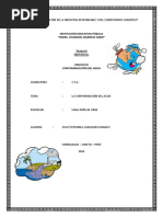 Proyecto Contaminacion Del Agua