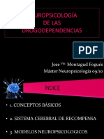 Neuropsicologia de Las Drogodependencias PDF